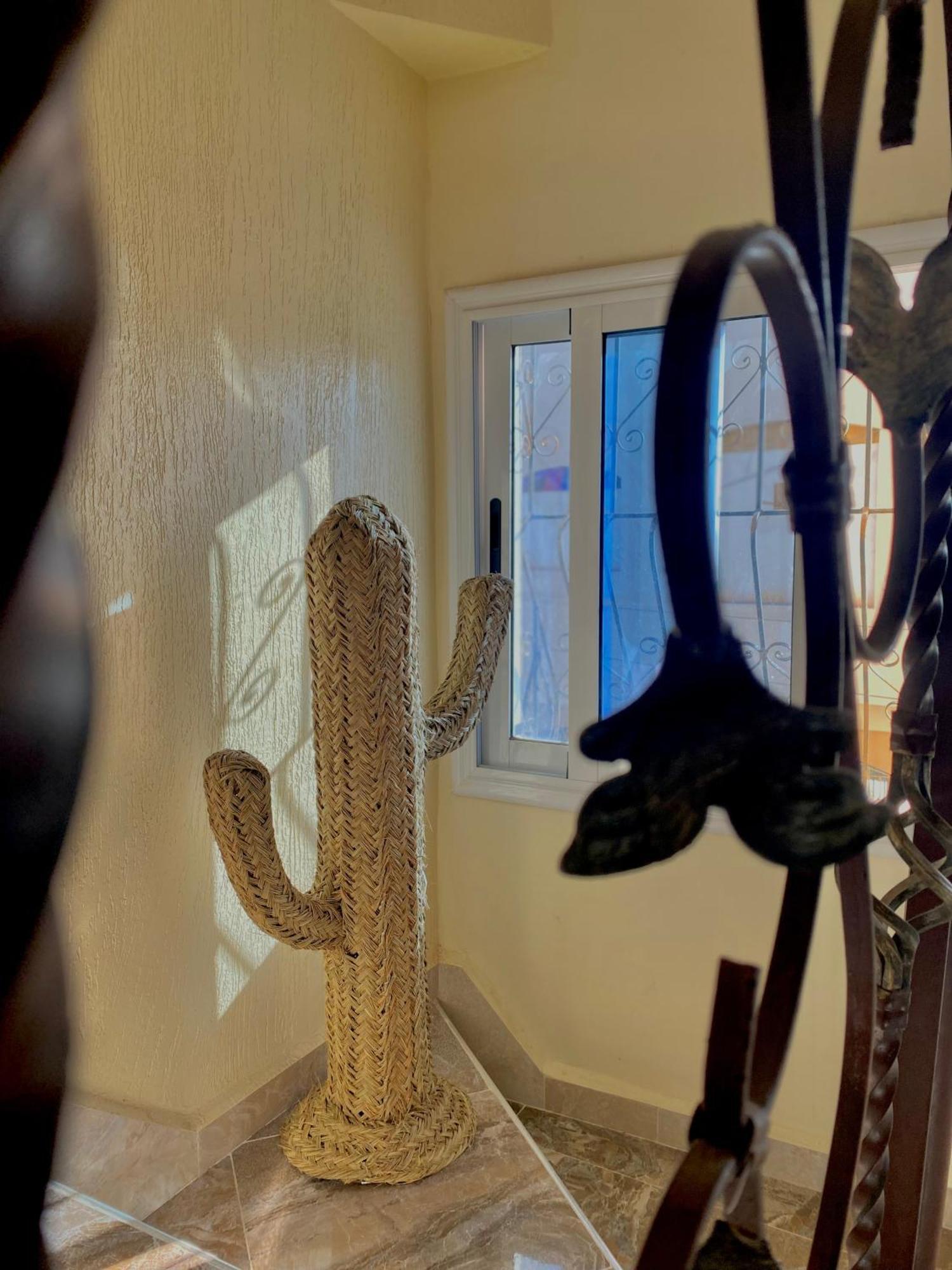 Mamo Surf Morocco Hostel Tamraght ภายนอก รูปภาพ
